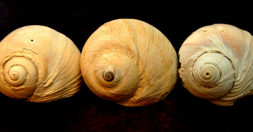 648853 (a): :3008x1562